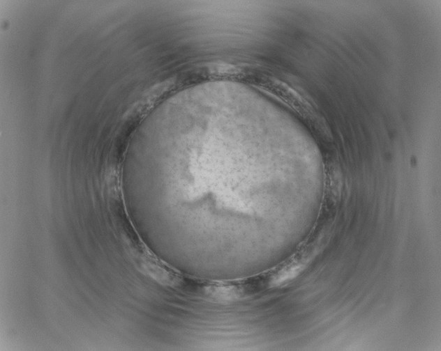 X0000062910419200602101837