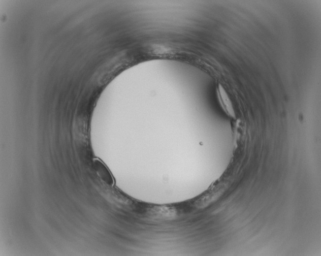 X0000062910421200602101837