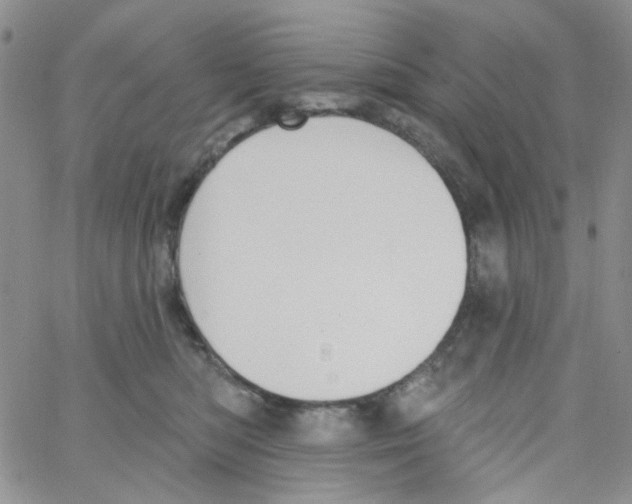 X0000062910422200602101837