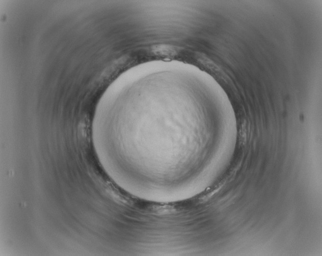 X0000062910424200602101837