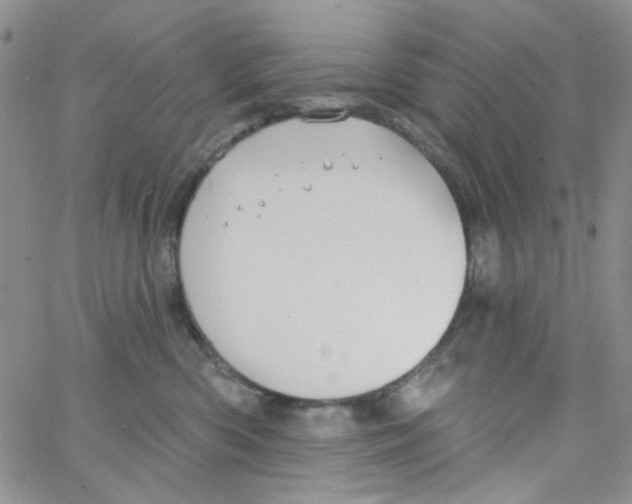 X0000062910426200602101837