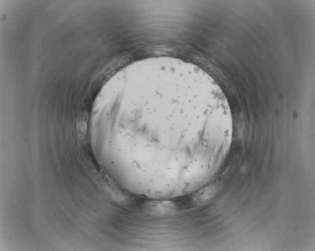 X0000062910427200602101836