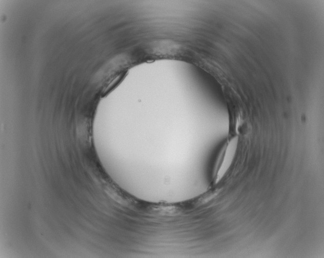 X0000062910428200602101836