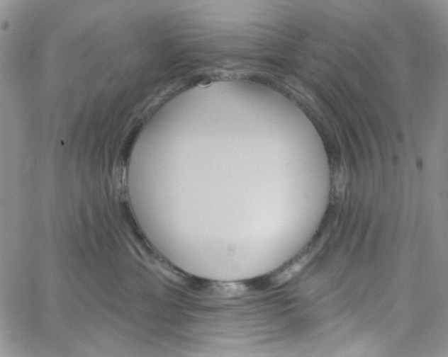 X0000062910429200602101836