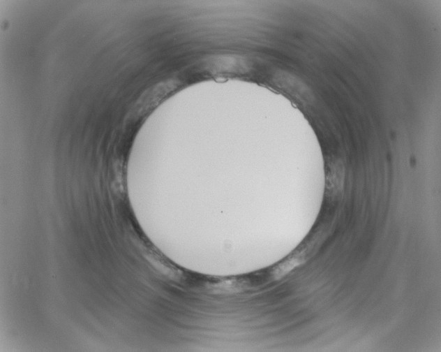 X0000062910430200602101836