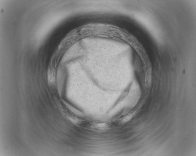 X0000062910431200602101836