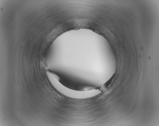 X0000062910432200602101836