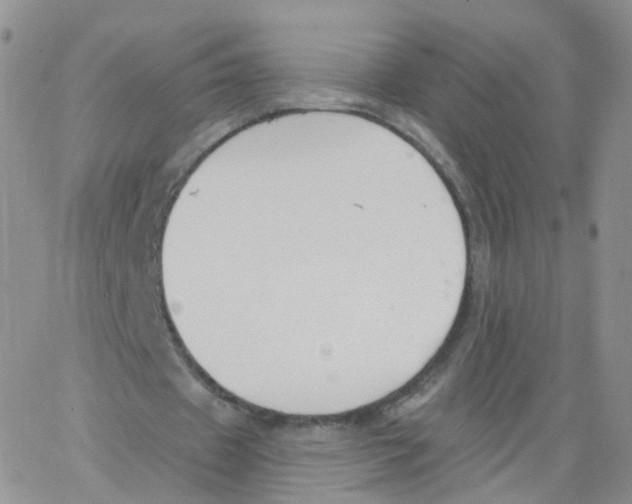 X0000062910433200602101836