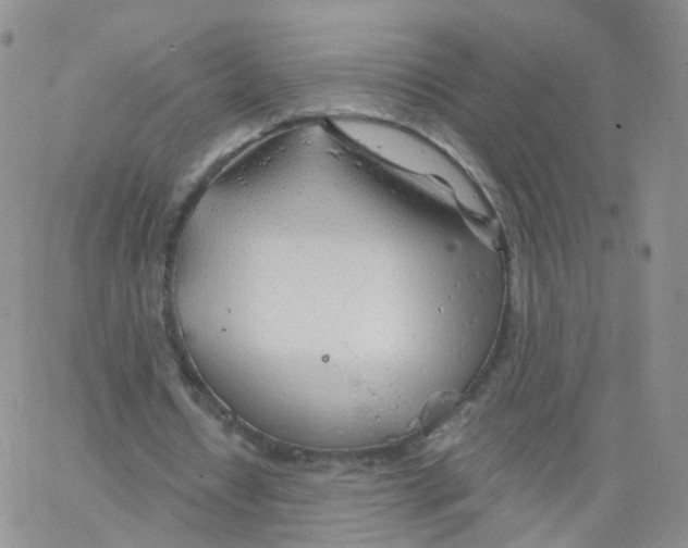 X0000062910434200602101836