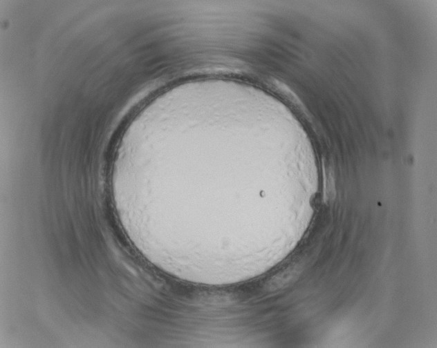 X0000062910435200602101836