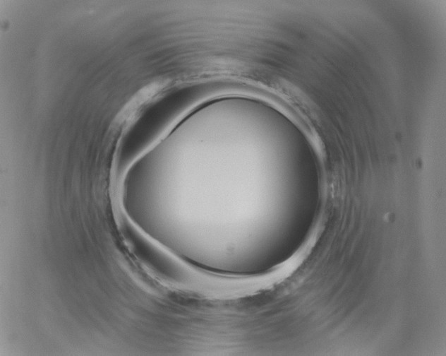 X0000062910436200602101836