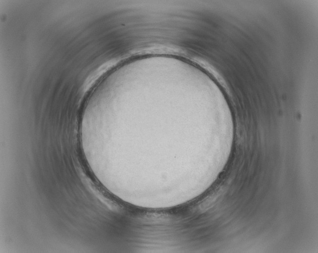 X0000062910437200602101836