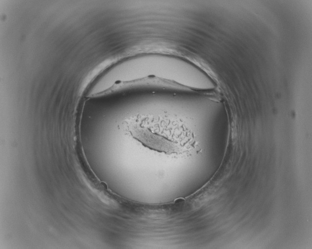 X0000062910438200602101836