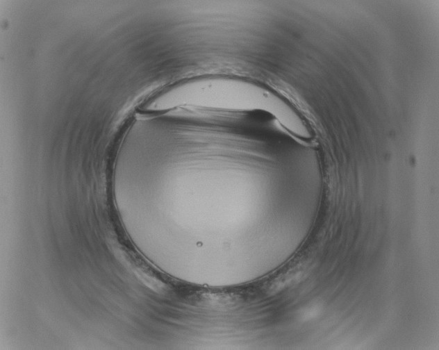 X0000062910442200602101836