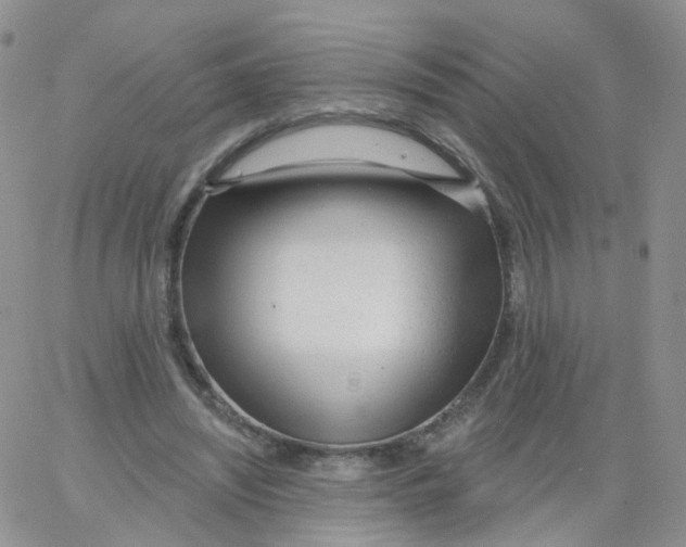 X0000062910444200602101836