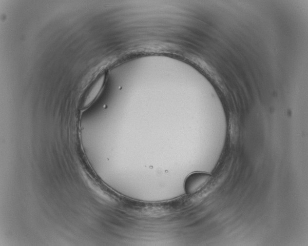 X0000062910445200602101836