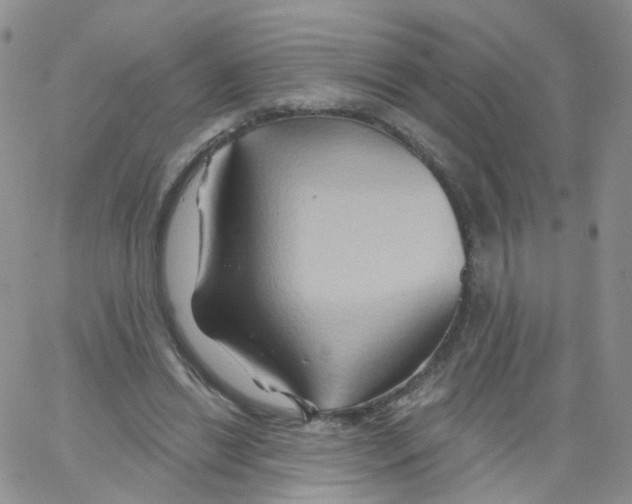 X0000062910446200602101836