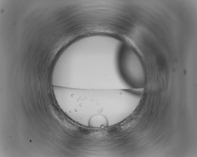 X0000062910447200602101836