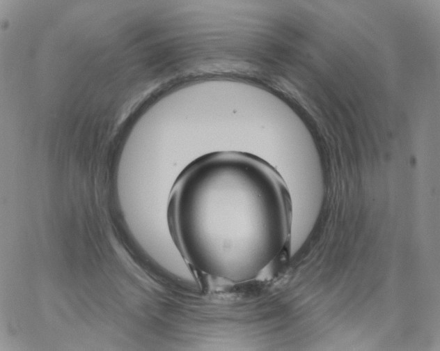 X0000062910448200602101836