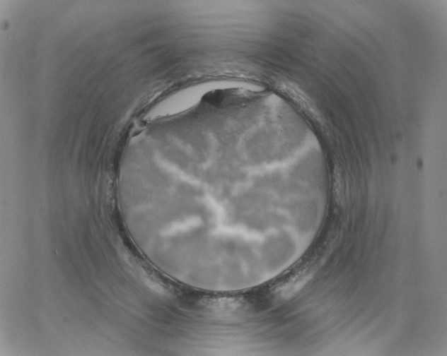 X0000062910449200602101836