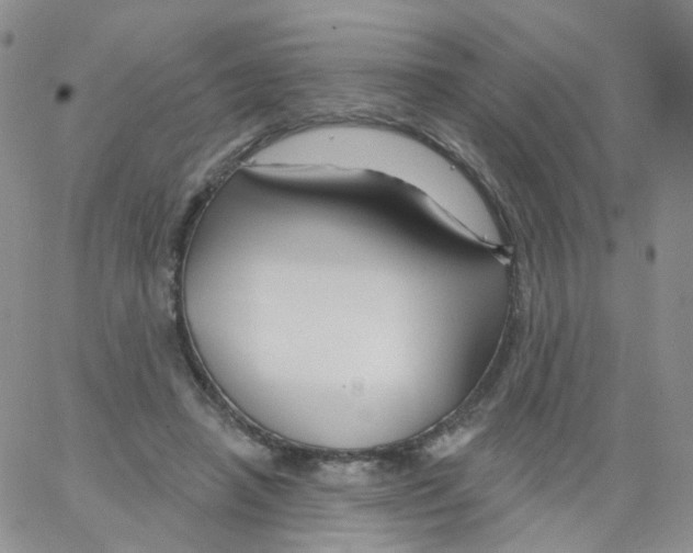 X0000062910450200602101836