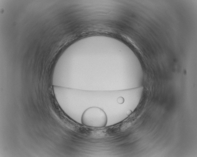 X0000062910451200602101836