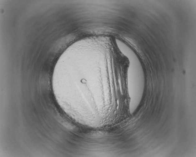 X0000062910453200602101836