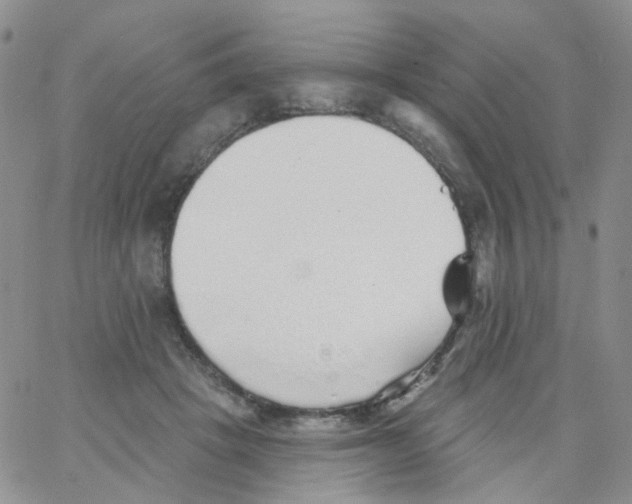 X0000062910457200602101836