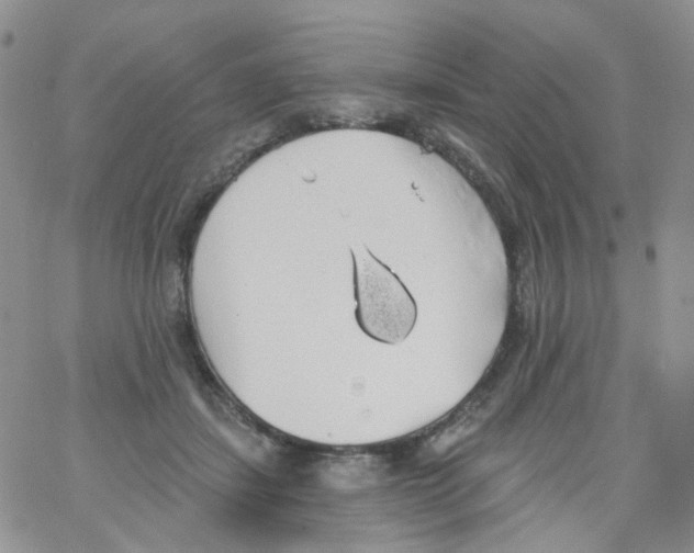 X0000062910459200602101836