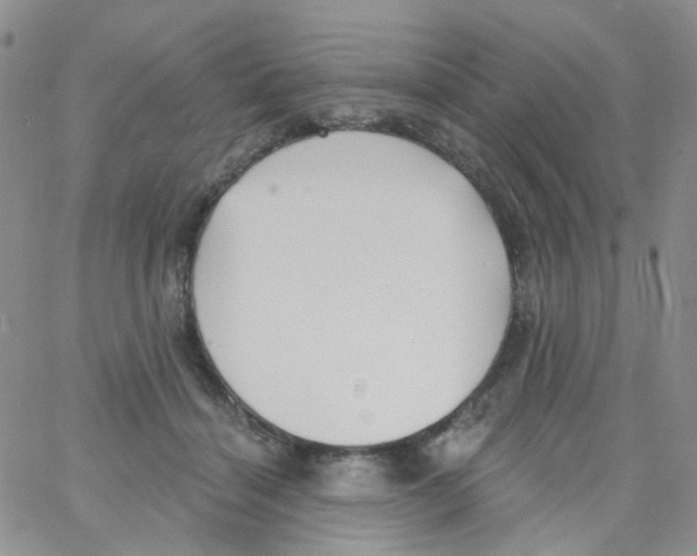 X0000062910460200602101836