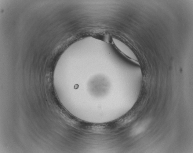 X0000062910462200602101836