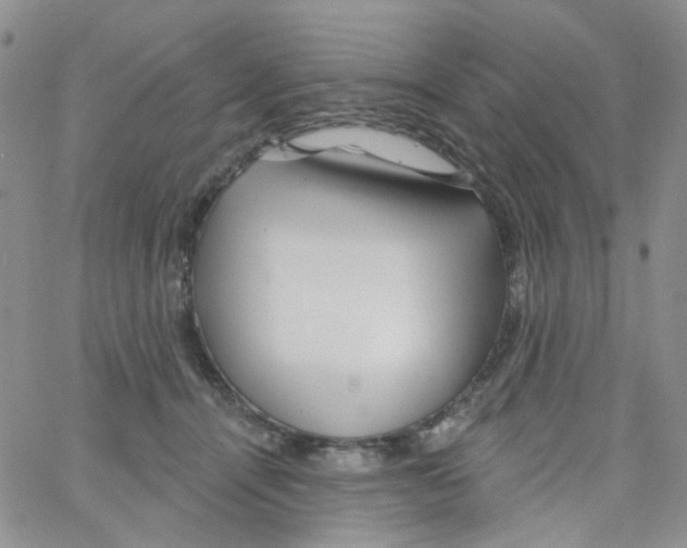 X0000062910464200602101836