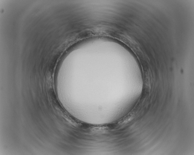 X0000062910465200602101836