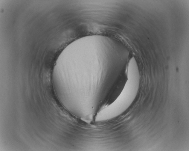 X0000062910466200602101836