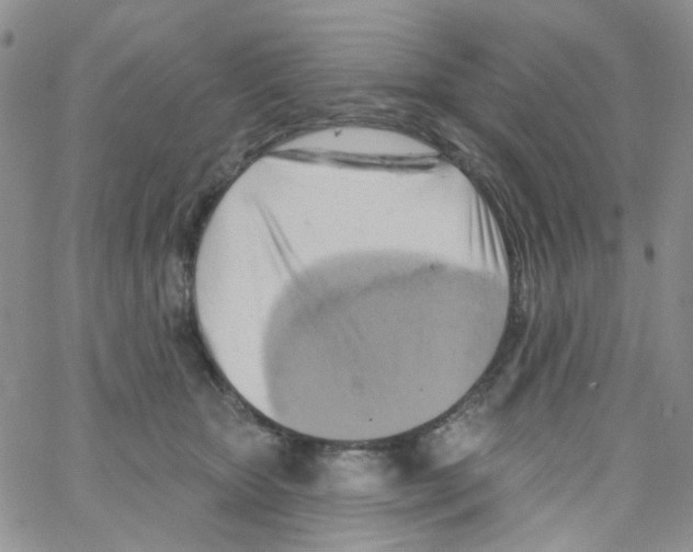 X0000062910467200602101836