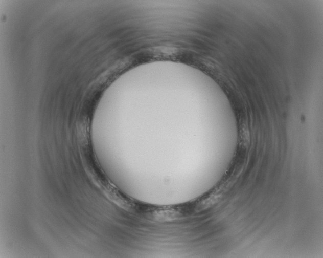 X0000062910468200602101836