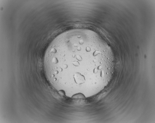 X0000062910469200602101836