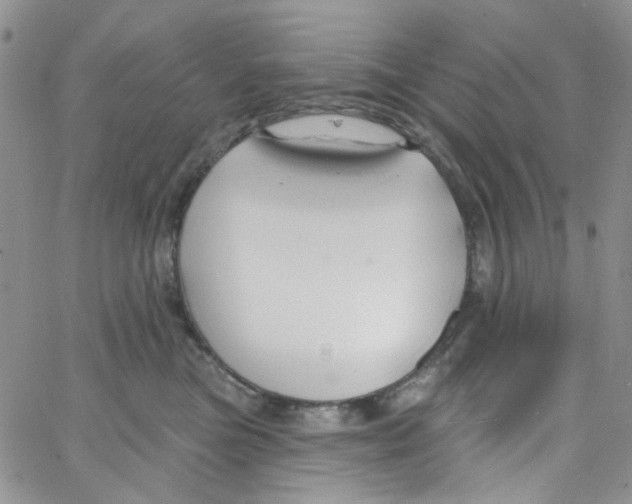 X0000062910473200602101836