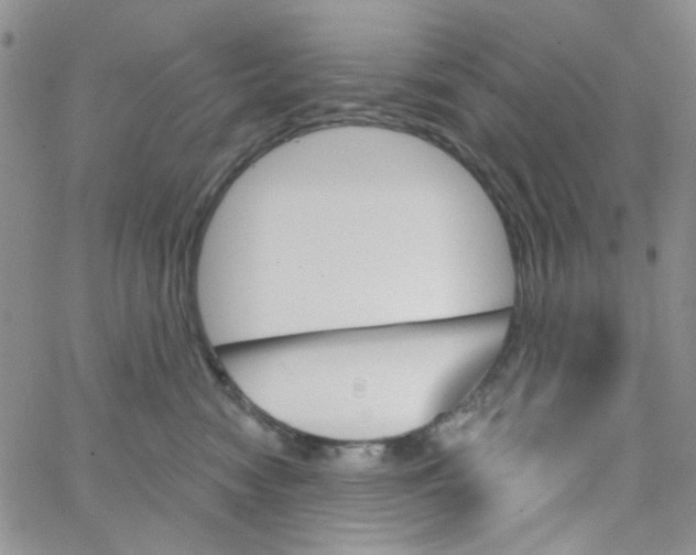 X0000062910474200602101836