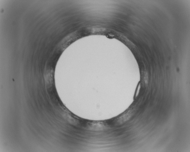 X0000062910475200602101836