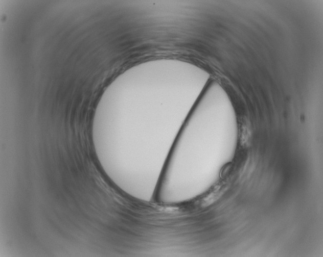 X0000062910476200602101836