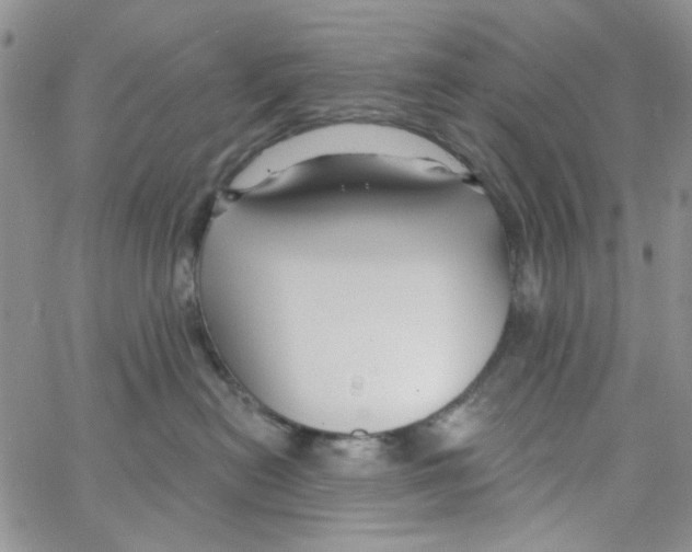 X0000062910478200602101836