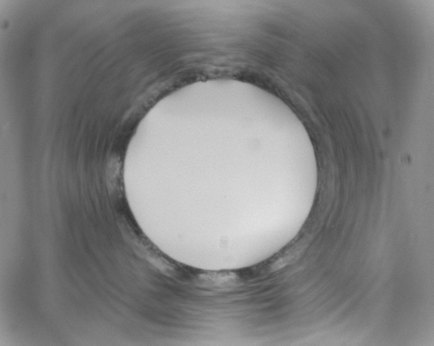 X0000062910480200602101836