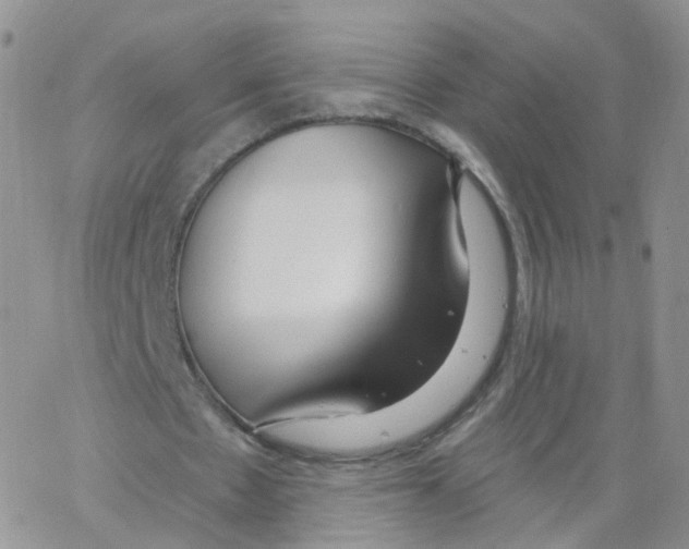 X0000062910481200602101836