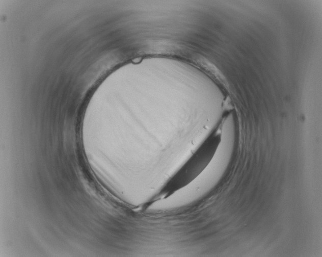 X0000062910482200602101836