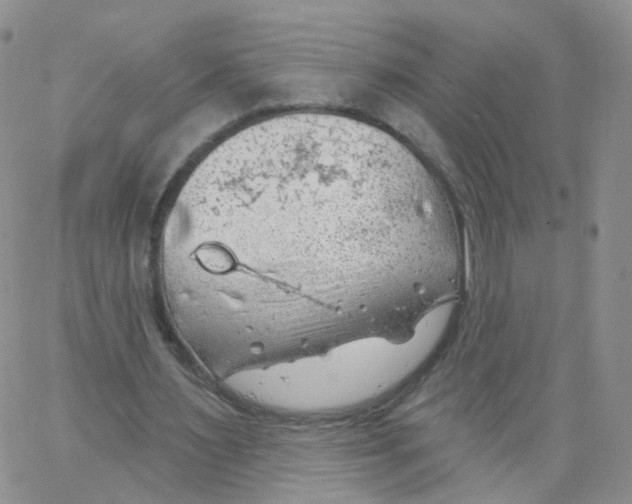 X0000062910483200602101836