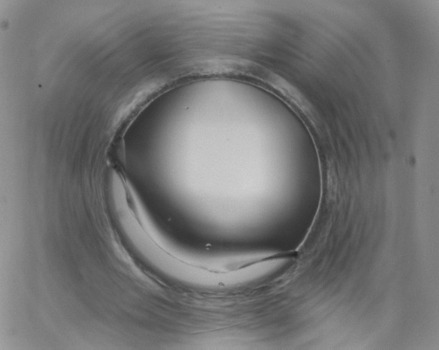 X0000062910485200602101836