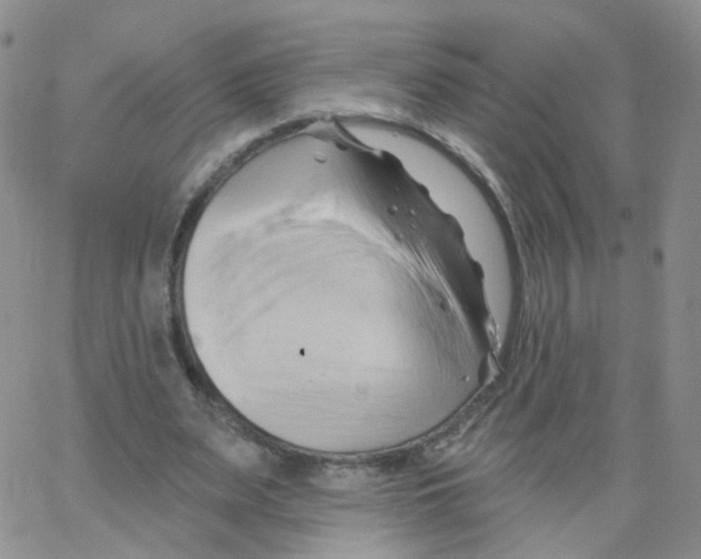 X0000062910487200602101836