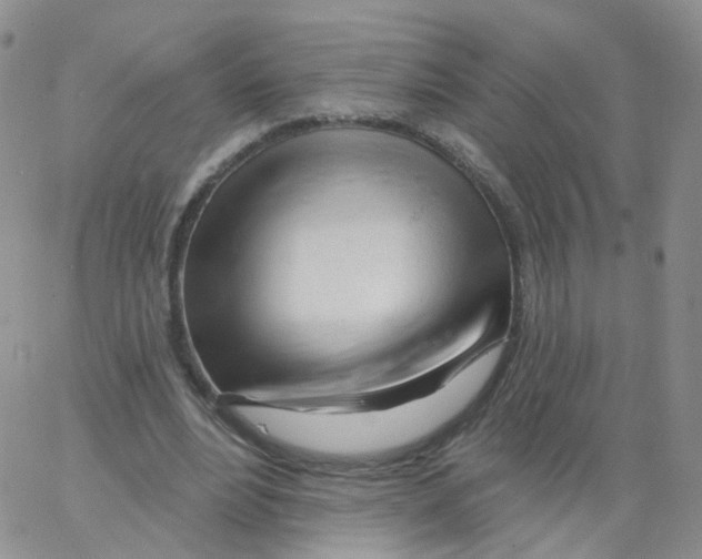 X0000062910488200602101836