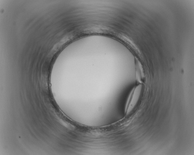 X0000062910489200602101835